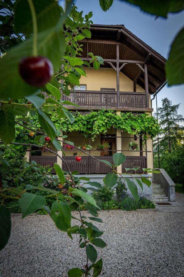 Villa Anna Bled Extérieur photo