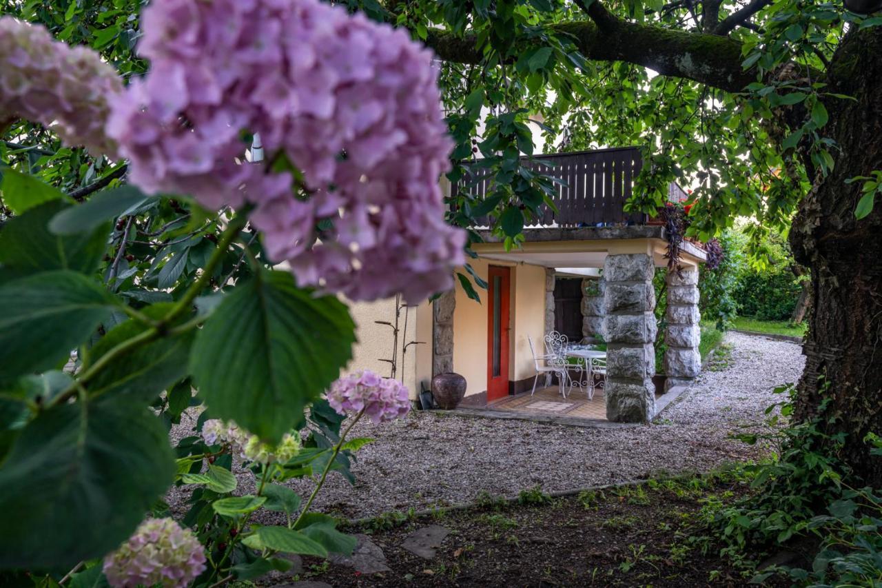 Villa Anna Bled Extérieur photo